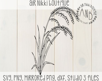 Rice stock, SVG, PNG, Studio 3, mirrored png, DXF files, instant download, cut, cameo, cricut