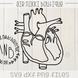 Heart, Real heart, SVG, PNG, DXF files, instant download