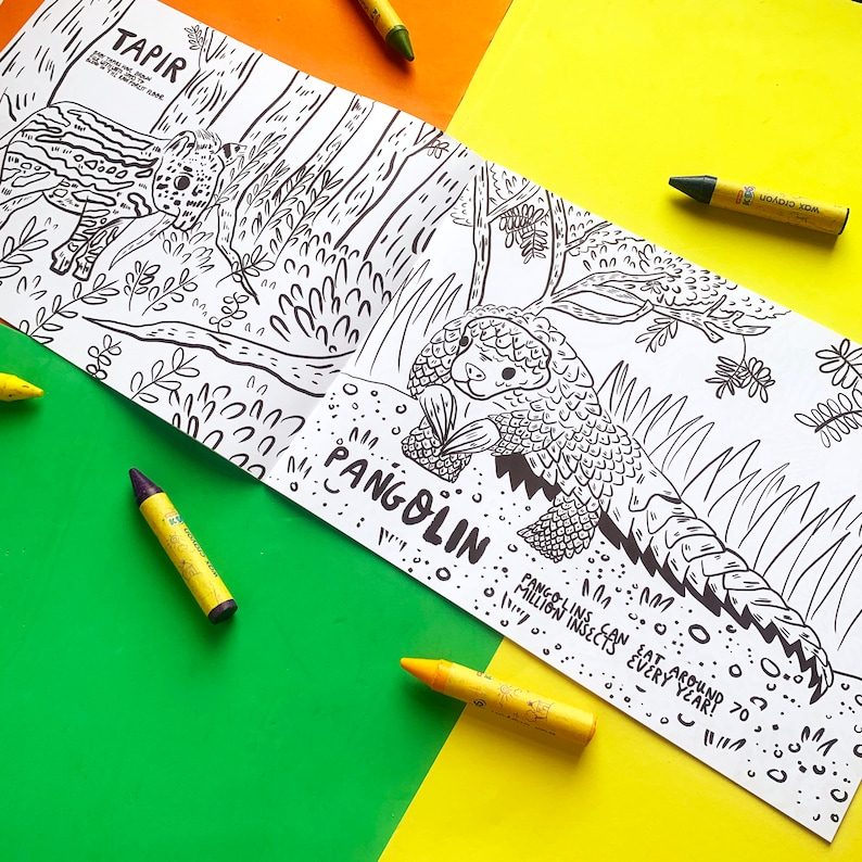 May include: A black and white coloring book page featuring illustrations of a tapir and a pangolin. The page includes the text "TAPIR" and "PANGOLIN". The text "PANGOLINS CAN EAT AROUND 70 MILLION INSECTS EVERY YEAR!" is also included.