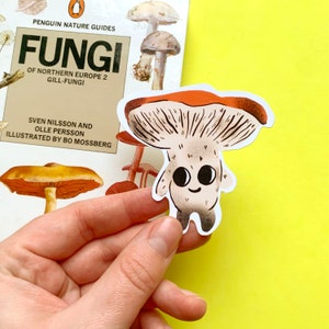 Mushroom Illustrated Matt Cute Sticker Bullet Journalling Scrapbooking Cottagecore image 1