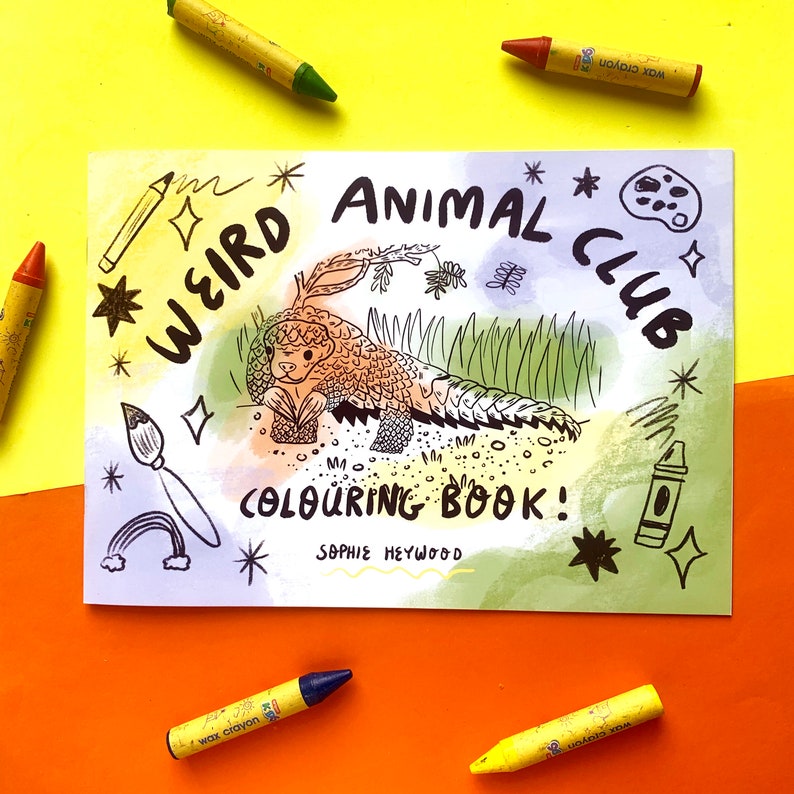 May include: A coloring book cover with a whimsical illustration of a pangolin, surrounded by stars and a rainbow. The title is "Weird Animal Club Coloring Book!" by Sophie Heywood.