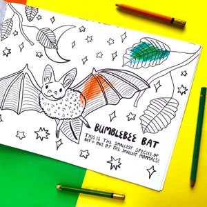 May include: A black and white line drawing of a bat with the text "Bumblebee Bat" and "This is the smallest species of bat + one of the smallest mammals!"  The bat is colored in with orange and green.