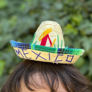 Mini Sombrero Colorful Mexican Fiesta Birthday Outfit-Frida Kahlo Cake-Folk Art Charro Cake Smash Mariachi Baby Hat Toddler Pet Dog