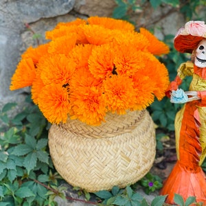 Dozzina di fiori di carta crespa Cempasuchil, bouquet di fiori fatti a mano, scelta floreale, confezioni regalo, regali per lei, festa di compleanno colorata Fiesta