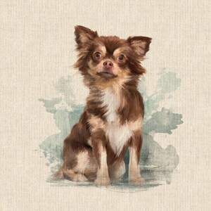 May include: A brown and white chihuahua dog sitting on a light blue and gray watercolor background.