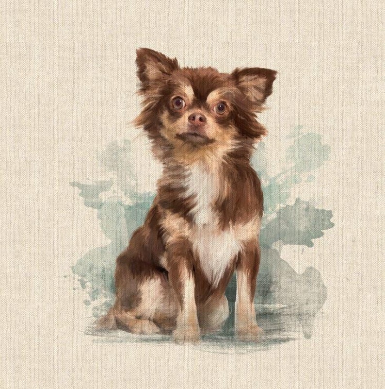 May include: A brown and white chihuahua dog sitting on a light blue and gray watercolor background.