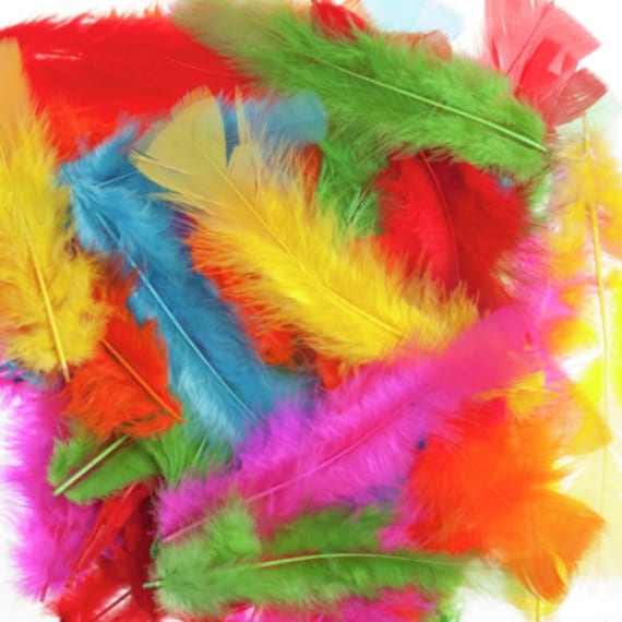 Large sale decorative feathers
