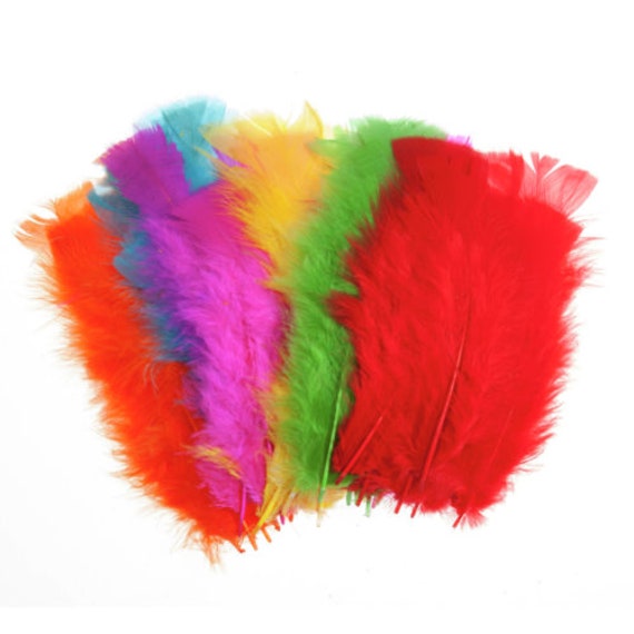 Large 2024 decorative feathers