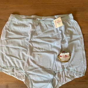 Vintage 60er Jahre Kmart Blau Double Mushroom Zwickel Pin Up Oma Panties 7 NOS