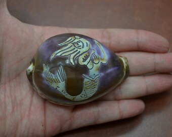 Carved Cowrie Shell Etsy