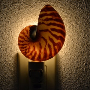 brown CHAMBERED NAUTILUS mother of pearl Sea Shell NIGHTLIGHT Bathroom Kitchen