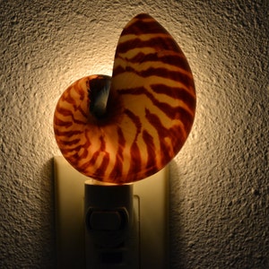 May include: A night light shaped like a nautilus shell with a white base and a brown and white striped pattern. The shell is lit from inside, casting a warm glow.