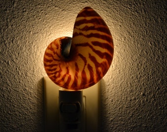 brown CHAMBERED NAUTILUS mother of pearl Sea Shell NIGHTLIGHT Bathroom Kitchen