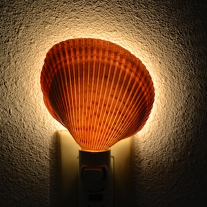 May include: A seashell nightlight plugged into an electrical outlet. The seashell is lit from the inside, casting a warm glow.
