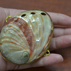 red ABALONE Shell TRINKET Box Coin Purse