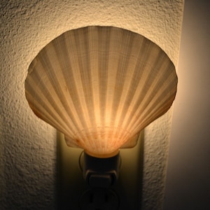 DEEP SCALLOP Sea Shell NIGHTLIGHT image 1