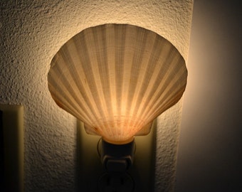 DEEP SCALLOP Sea Shell NIGHTLIGHT