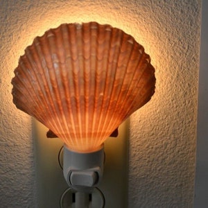 Yellow Mexican Cup Sea Shell NIGHTLIGHT