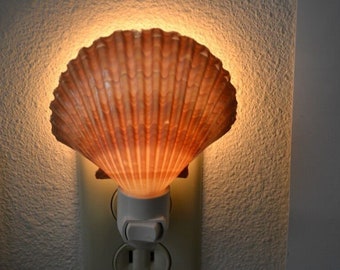 Yellow Mexican Cup Sea Shell NIGHTLIGHT