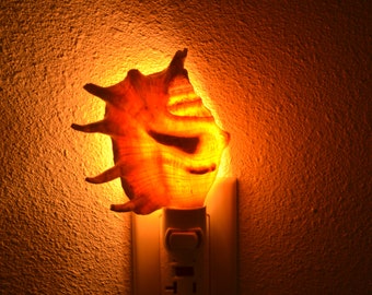 SPIDER CONCH Sea Shell NIGHTLIGHT