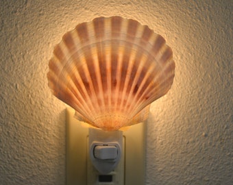 random color IMPERFECT SCALLOP Sea Shell NIGHTLIGHT