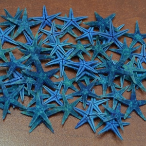May include: A large group of blue starfish, some with a darker blue hue, are scattered on a brown surface. The starfish are all facing upwards and have five points.