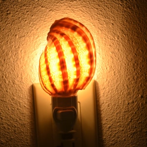 brown stripe HARPA sea SHELL nightlight