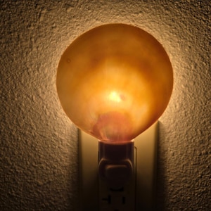 round pearl GOLDEN SHELL NIGHTLIGHT