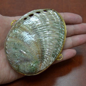 ABALONE Shell TRINKET Box