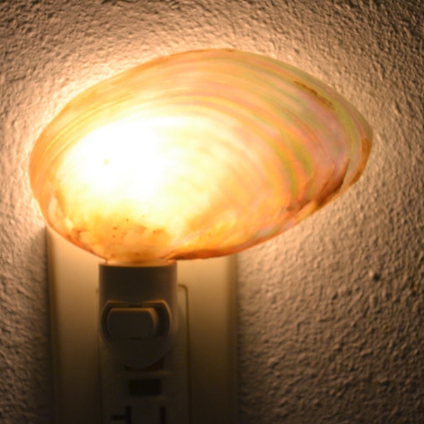 Pearlized RIVER Sea Shell NIGHTLIGHT