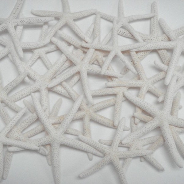 25 Pieces Bleached WHITE Pencil Finger STARFISH Star Sea Shell 3" - 4"