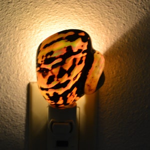 south AFRICA SARMATICUS Sea Shell NIGHTLIGHT