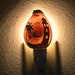 see more listings in the SeaShell Nightlights section