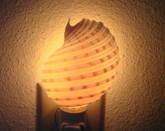 Spotted Banded Tun Sea Shell NIGHTLIGHT Bathroom Kitchen