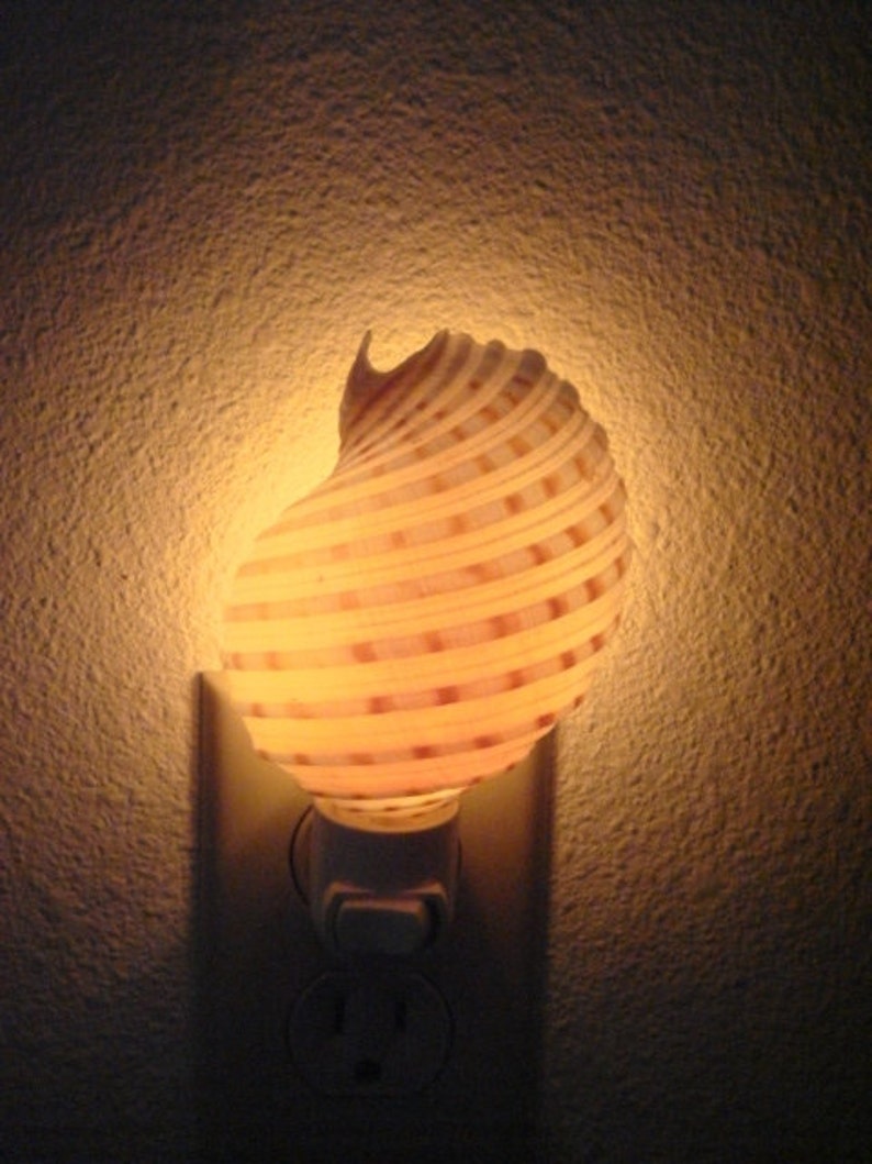 Spotted Banded Tun Sea Shell NIGHTLIGHT Bathroom Kitchen image 1