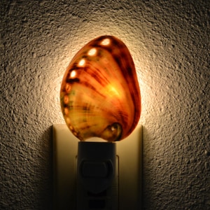 RED ABALONE Sea Shell NIGHTLIGHT