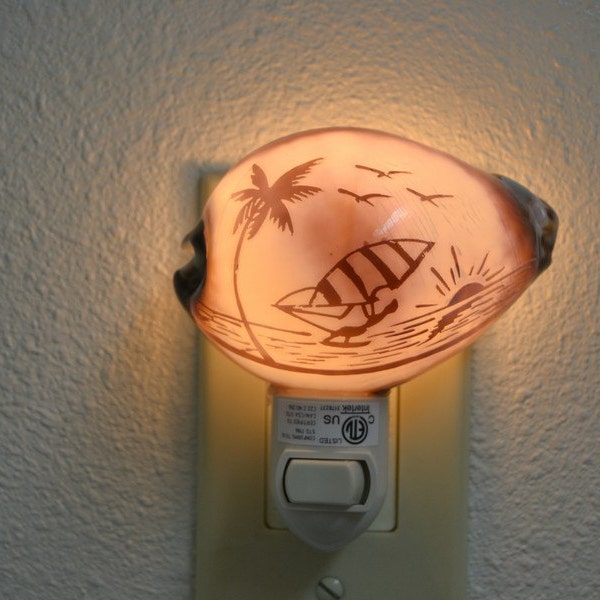 Carved Tiger COWRIE Surfer Beach Sea Shell NIGHTLIGHT Kitchen Bathroom