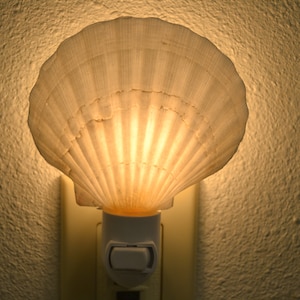 IMPERFECT SCALLOP Sea Shell NIGHTLIGHT