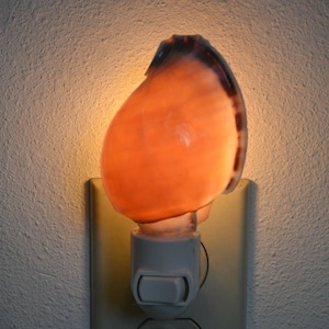 May include: A seashell night light plugged into an electrical outlet. The shell is lit from the inside, casting a warm glow.