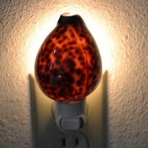 TIGER COWRIE Sea Shell NIGHTLIGHT