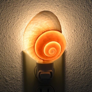 BROWN SNAIL Sea Shell NIGHTLIGHT