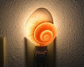 BROWN SNAIL Sea Shell NIGHTLIGHT