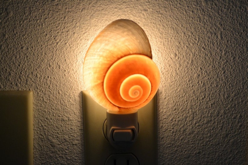 LUZ NOCTURNA CARACOL MARRÓN Concha Marina imagen 1