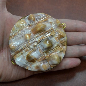 May include: A round, white and brown seashell with a gold metal rim and a gold metal loop on the side. The seashell has a textured surface.