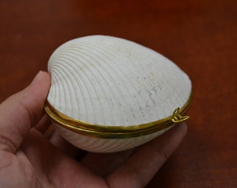 white CARDIUM PESODOLIMA Sea Shell trinket box