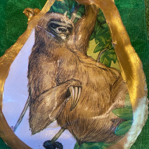 Sloth Zoo Oyster Shell Jewelry Dish rainforest jungle for  Animal Lover Valentine’s Day gift comes with chiffon bag