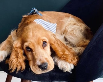 Light blue and white striped dog bandana, dog accessory