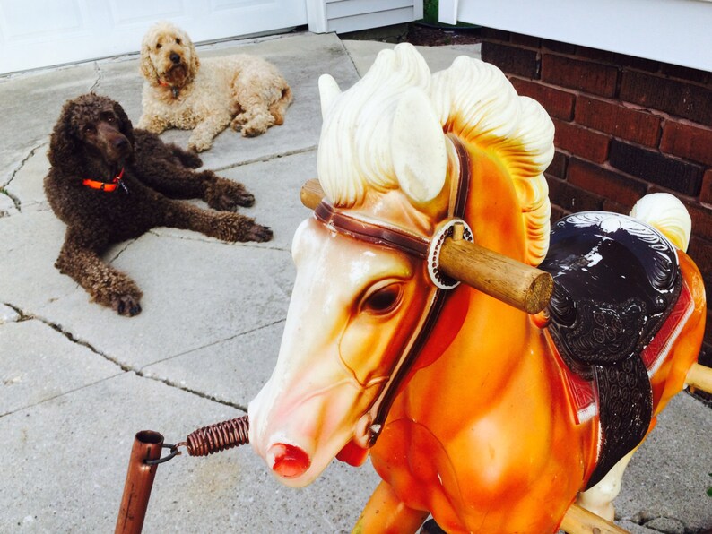 spring bouncy horse