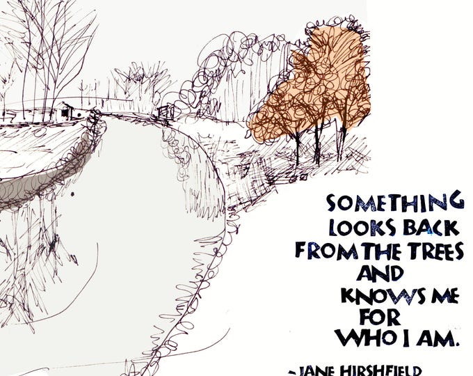 Card S020 Something Looks Back -- Jane Hirshfield