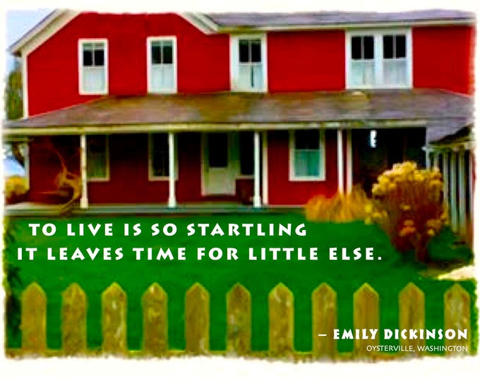 Card T045 So Startling -- Emily Dickinson